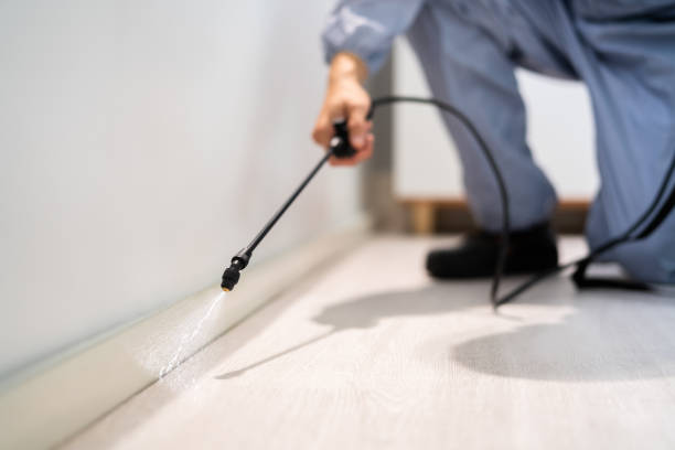 Bed Bug Pre-Treatment Preparation Assessment in Le Center